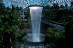 Changi Airport Covid 15