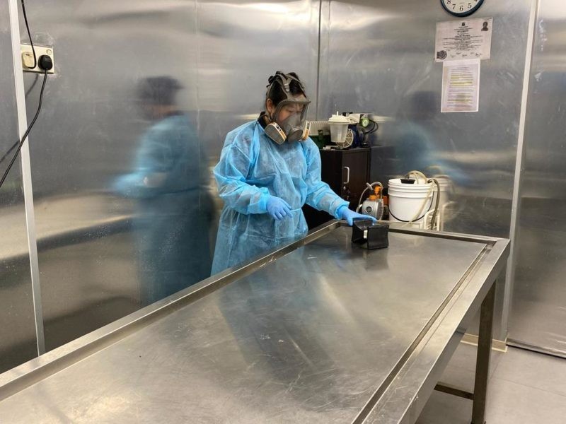 funeral covid 19 online