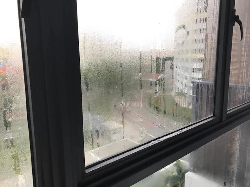 wet window