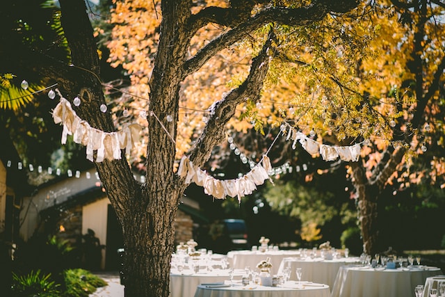 wedding party outdoors