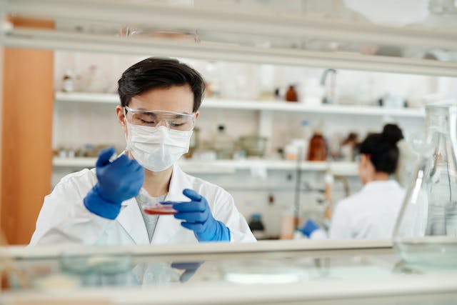 Sample Test In The Laboratory